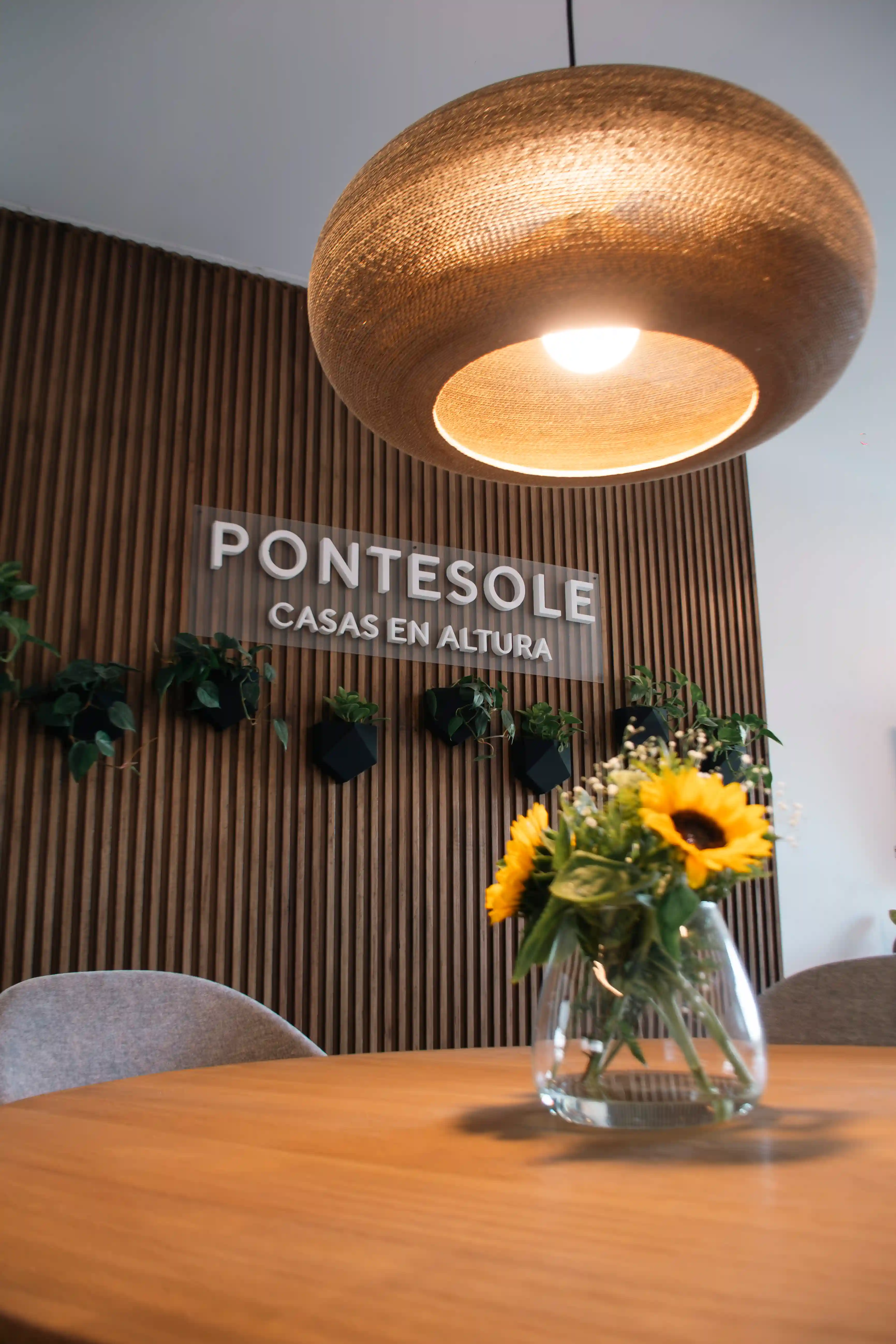 Pontesole — render del proyecto