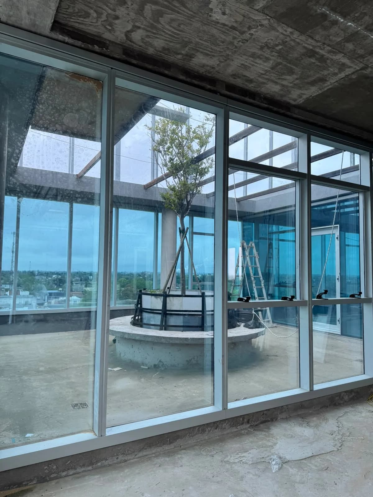 Avance de obra de Green Office — quinto piso con el patio vidriado y su árbol